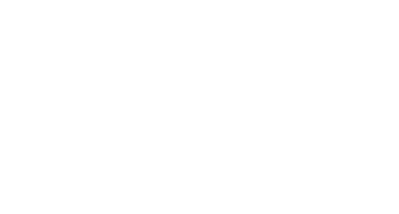 fiorigroup.com
